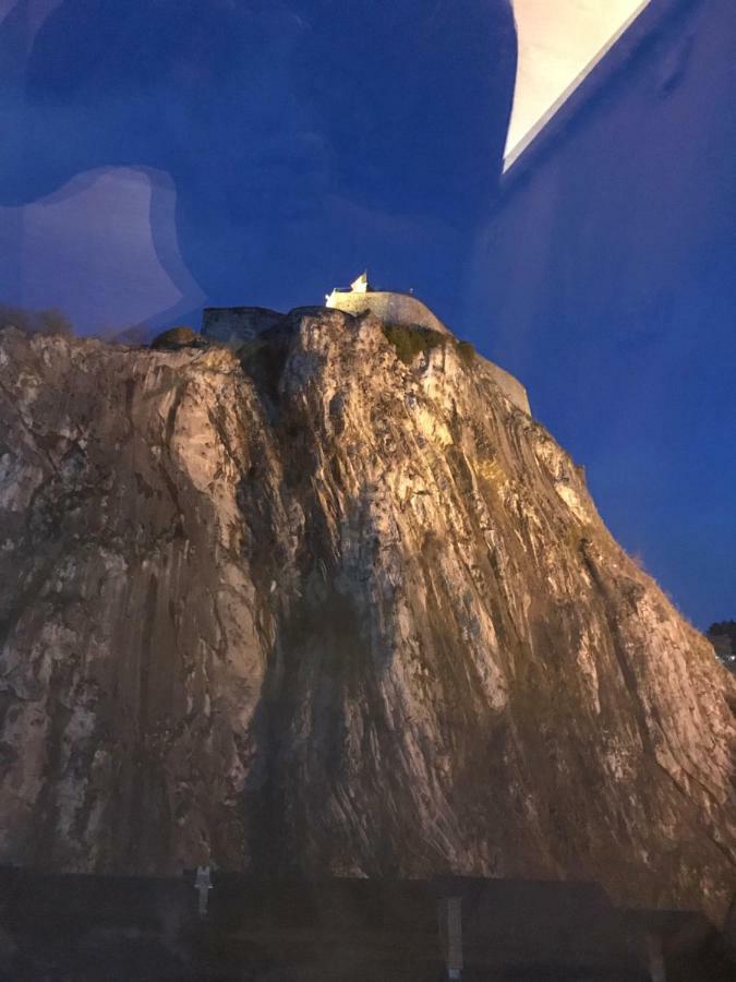 Le Saxo Cuivre Apartment Dinant Bagian luar foto